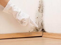 Best Mold Remediation for Healthcare Facilities in Eagle Mountain, UT